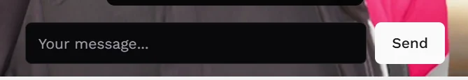 Web Player text input field